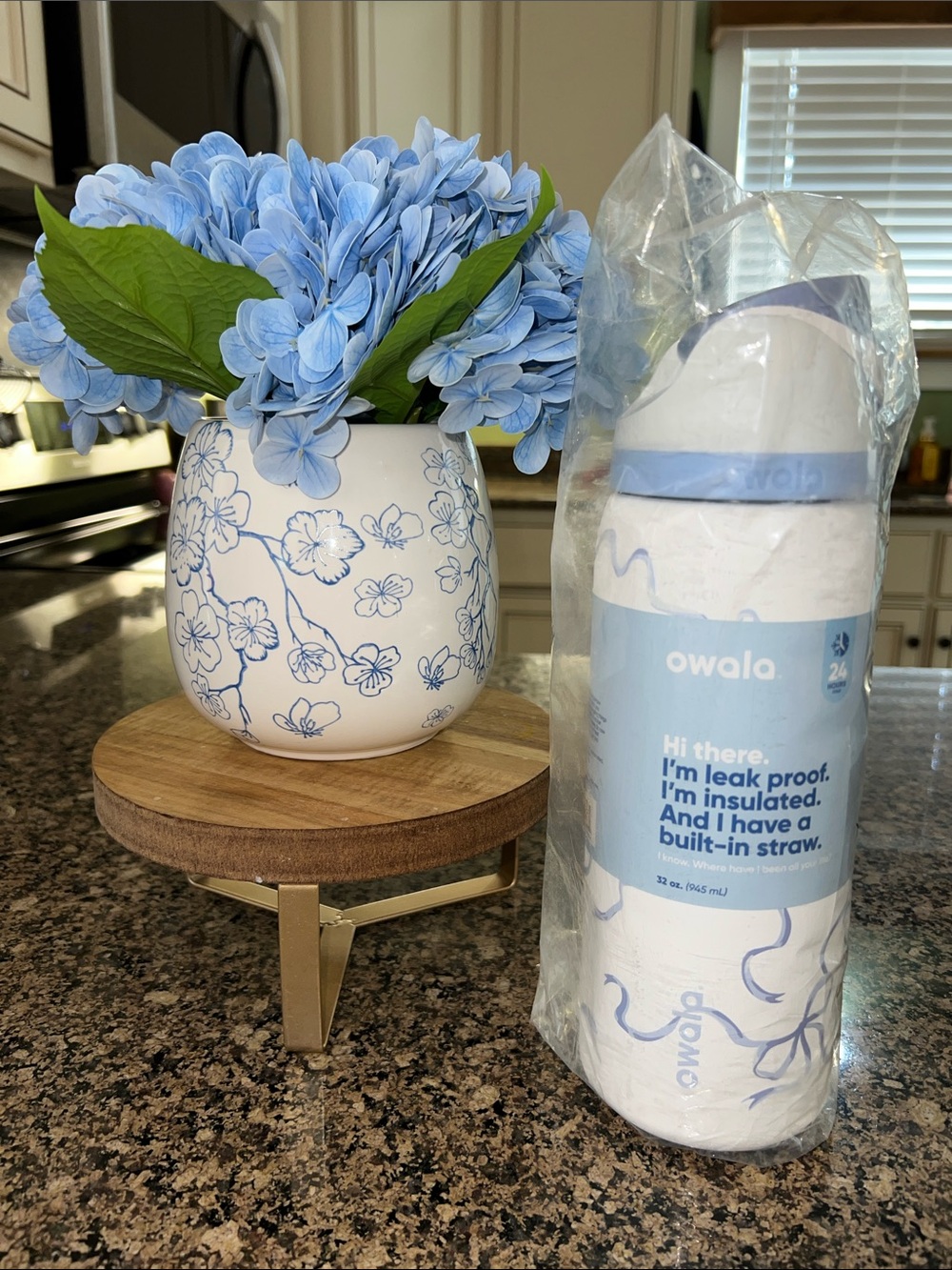 Owala UO Exclusive FreeSip 32 oz Bow Water Bottle TIED AND TRUE